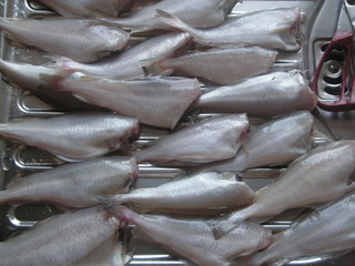 fische vom rost