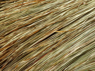 Obraz premium paille