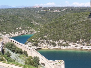 bonifacio