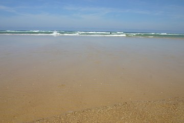 ocean sable