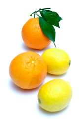 lemons and oranges row