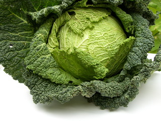 cabbage