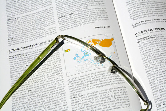 lunettes de vue
