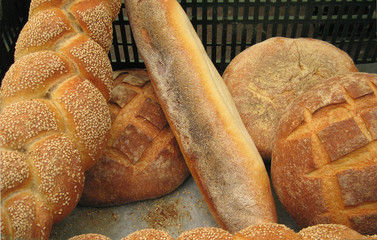 breads