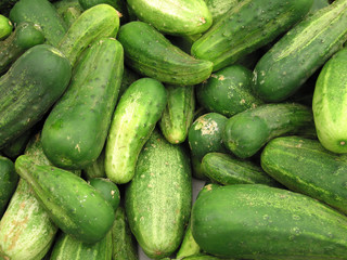 cucumbers
