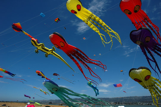 kites