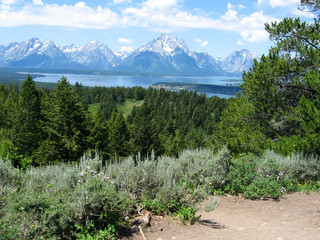 grand teton np