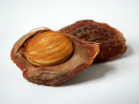 pip