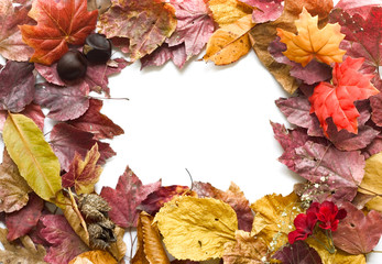 autumn frame