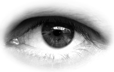 auge weiss