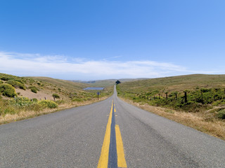 the exact middle of the road