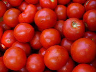tomatoes