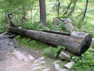 wood fountain