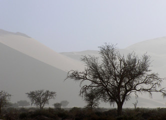 Fototapeta na wymiar pustyni w czasie burzy