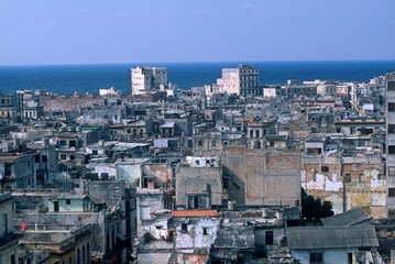 Fototapeta premium havanna