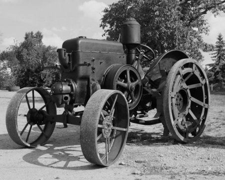 bulldog