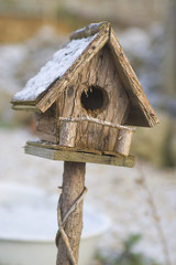 birdhouse in the snow