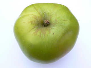 bramley apple