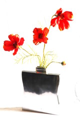 three red flowers in vase