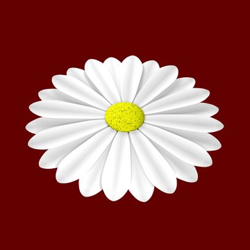 Dasiy Images – Browse 147 Stock Photos, Vectors, and Video | Adobe Stock