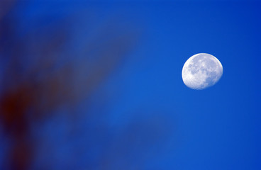 moon