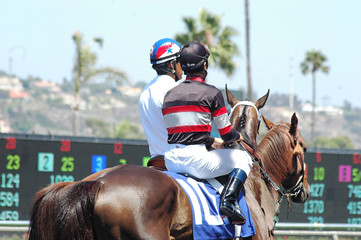 jockey & race horse