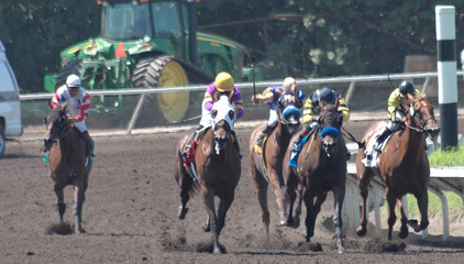 race horses turning into the stretch