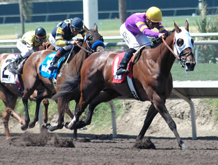 race horses & jockeys