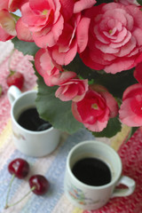 pink begonia with coffee cups at blured background