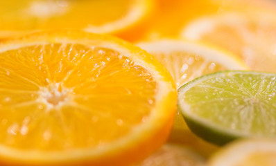 Naklejka na ściany i meble citrus fruits