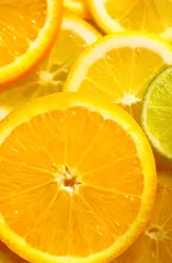  citrus vruchten © snaporama