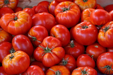 tomates