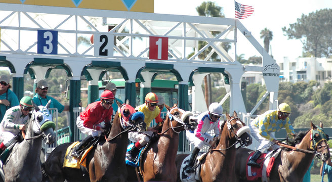 1 130 Best Horse Race Gate Images Stock Photos Vectors Adobe Stock 1 130 Best Horse Race Gate Images Stock Photos Vectors Adobe Stock