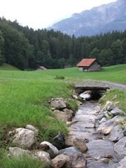 mountain stream