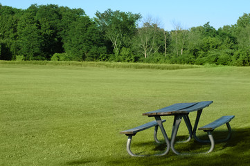 picnic table, in the park