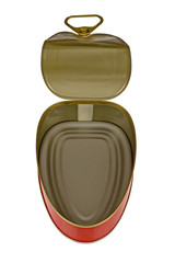 empty can - put what you want inside.