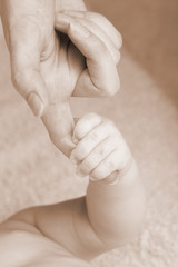 hand