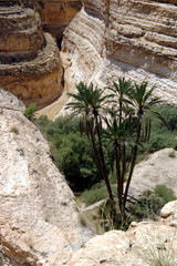 vue d'un canyon du sud tunisien
