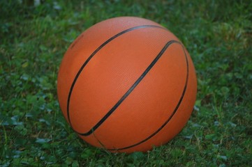 backyard basketball