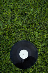 disk on the green grass