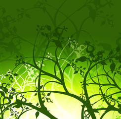 beautiful floral abstract  green