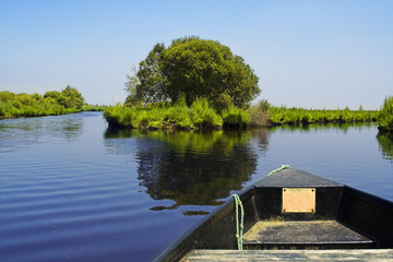 swamp