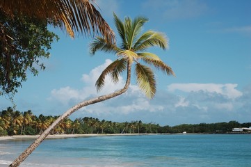 les salines