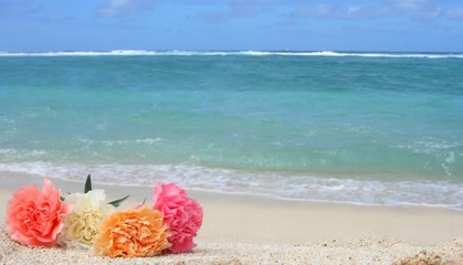 flower on the beach