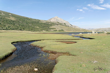 m&eacute;andre corse