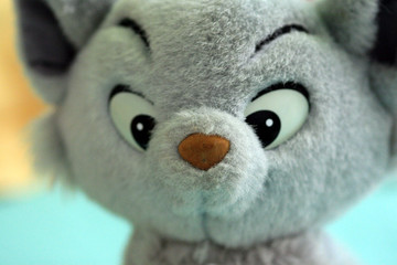chat