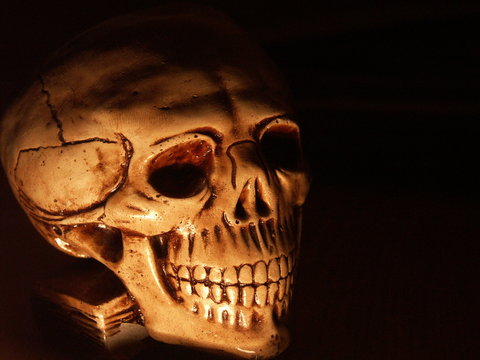 skull