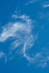 Fototapeta na wymiar sign in blue sky