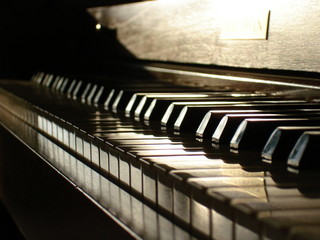 Naklejka premium piano keys