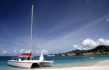 sailing in paradise